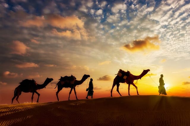 Sunrise Camel Ride: Experience the Magic of a New Desert Dawn