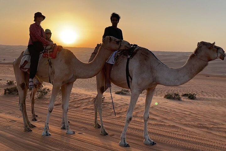 Sunrise Camel Ride: Experience the Magic of a New Desert Dawn