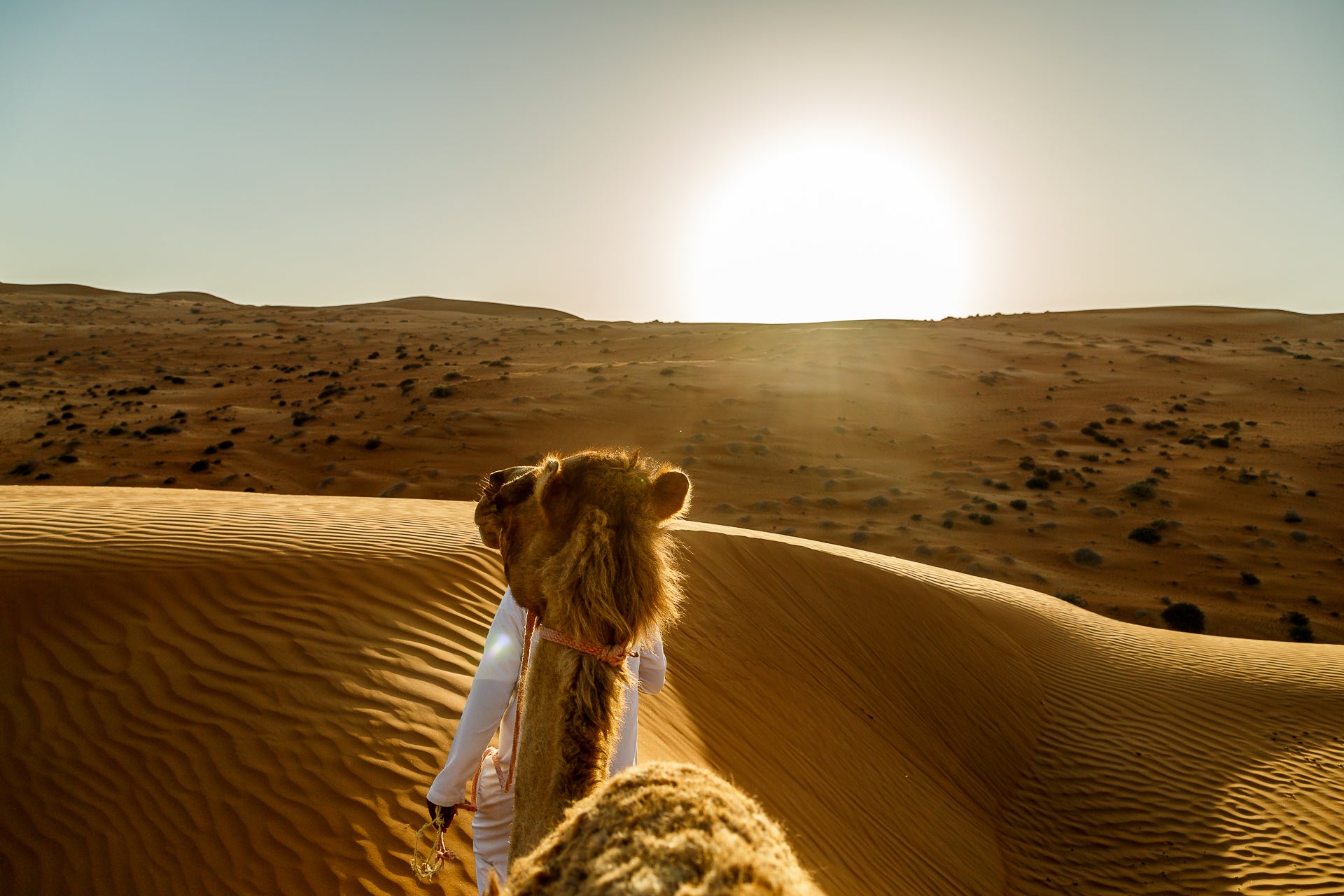 Muscat: Guided Tour of Wahiba Desert and Wadi Bani Khalid