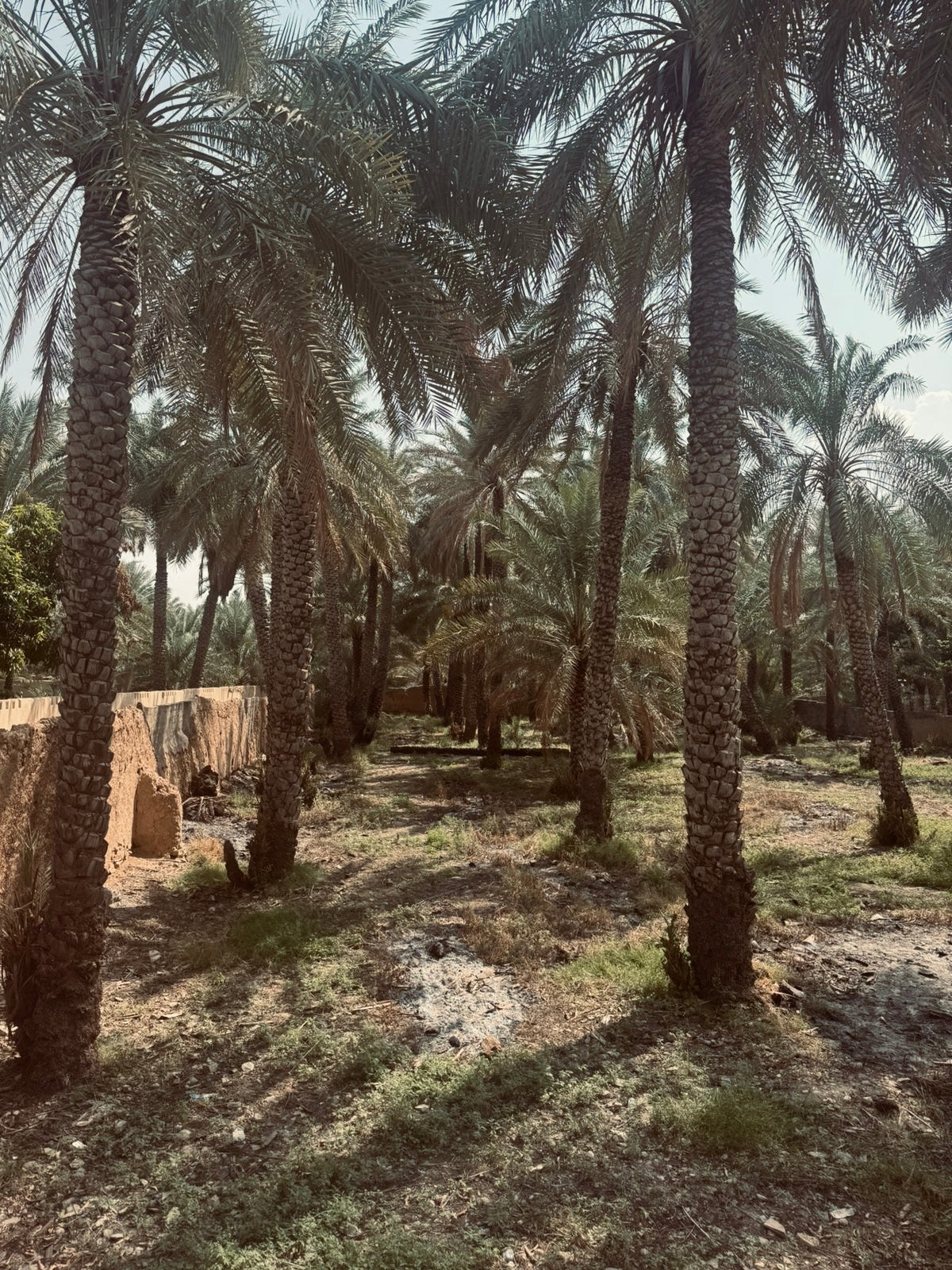 Bait Al Safah, Al Hamra