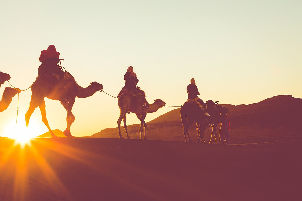Sunrise Camel Ride: Experience the Magic of a New Desert Dawn